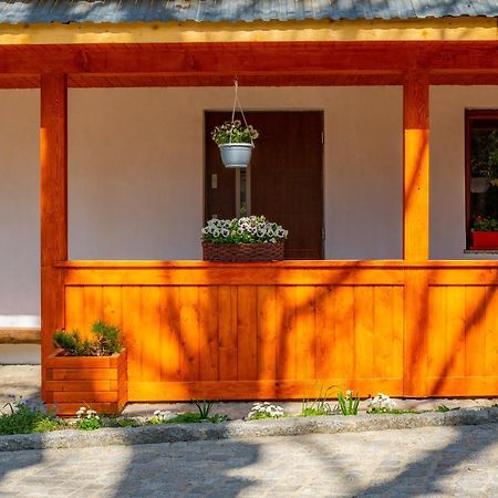 Apartament Lesny Zakopane Exterior foto