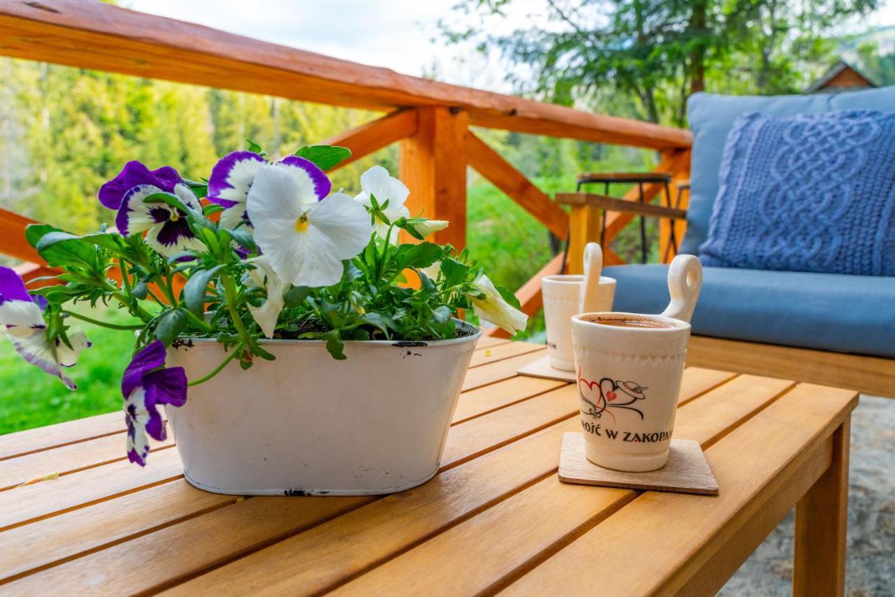 Apartament Lesny Zakopane Exterior foto